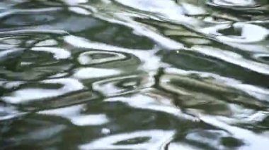 Gün batımında su ve güneşin görüntüsü