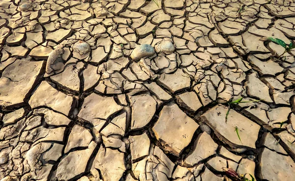 Dry Cracked Earth Bank Mountain River — Stock Photo, Image