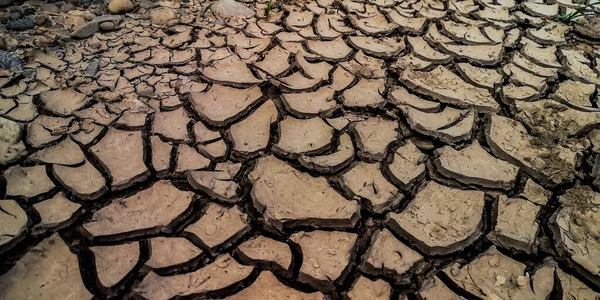 Dry Cracked Earth Bank Mountain River — Stock Photo, Image