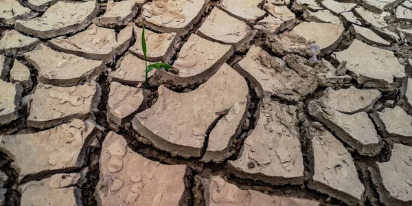 Dry cracked earth on the bank of a mountain river