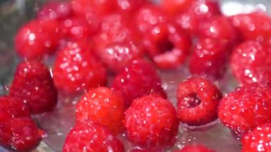 Bahçe ahududu yakın çekim yoğun su damlaları altında