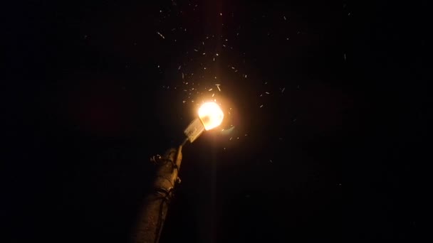 Éjszaka Sok Rovar Repked Utcai Lámpaoszlopon — Stock videók