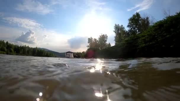 Paysage Une Rivière Montagne Qui Coule Lors Une Soirée Été — Video