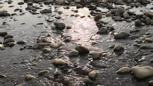 Paisaje Río Montaña Una Tarde Verano — Vídeo de stock