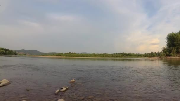 Bir Yaz Akşamında Bir Dağ Nehrinin Manzarası — Stok video