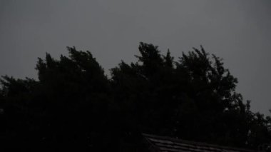 Fırtınalı gece gökyüzünde bir ağacın tepesinde şimşek çakıyor.