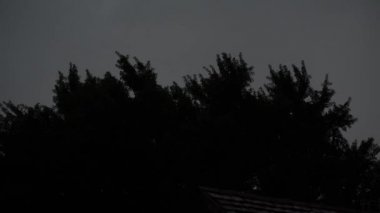 Fırtınalı gece gökyüzünde bir ağacın tepesinde şimşek çakıyor.