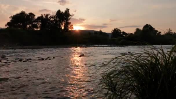 Summer Landscape Mountain River Sunset Hour — Video