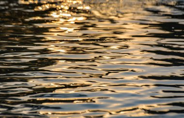 Texture waves of a mountain river in the sunset hour