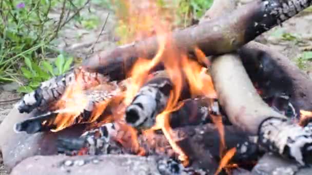 Detailní Záběr Táboráku Břehu Letní Řeky — Stock video