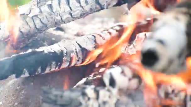 Close Van Het Kampvuur Aan Oever Van Zomerrivier — Stockvideo