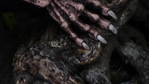 怪物の爪を持つ足は古い木の幹を撫でる — ストック動画