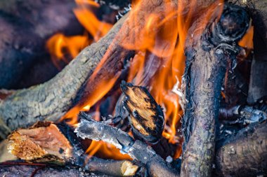 Yaz nehrinin kıyısındaki şenlik ateşine yakın çekim