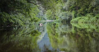 Bir yaz akşamında bir dağ nehrinin manzarası
