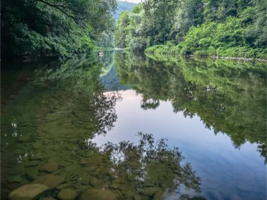 Bir yaz akşamında bir dağ nehrinin manzarası