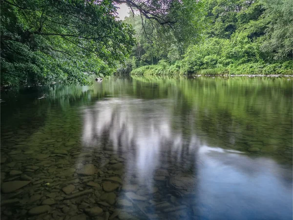 Landscape Mountain River Summer Evening — Stock Photo, Image