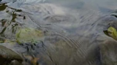 Şelalenin yakınındaki bir dağ nehrinin suyu dokusu.