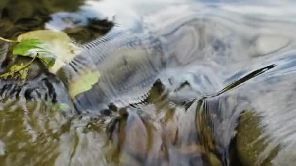 Textuur Van Het Water Van Een Berg Rivier Nabij Cascade — Stockvideo