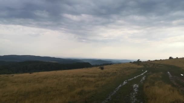 Ein Geländewagen Fährt Nach Einem Sommergewitter Den Karpaten — Stockvideo