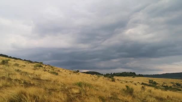 Ein Geländewagen Fährt Nach Einem Sommergewitter Den Karpaten — Stockvideo