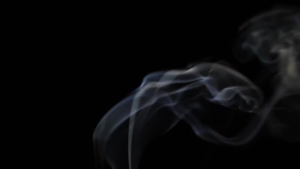 Beautiful Movement Smoke Beam Light Dark Background — Stock video