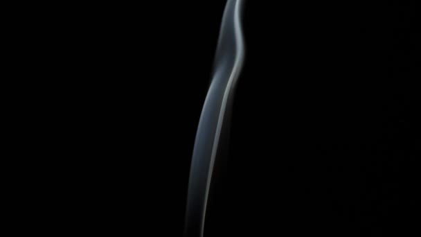 Beautiful Movement Smoke Beam Light Dark Background — Wideo stockowe