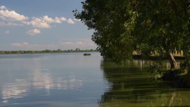 Paisaje Lago Verano Antes Del Atardecer — Vídeos de Stock