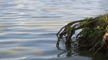 Gün batımından önce yaz gölü manzarası