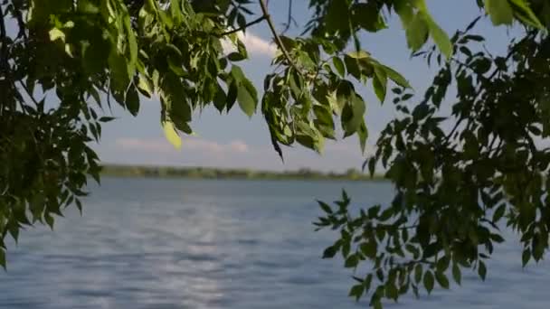 이오기 호수의 — 비디오