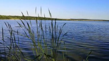 Gün batımından önce yaz gölü manzarası