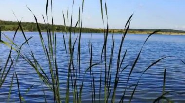 Gün batımından önce yaz gölü manzarası