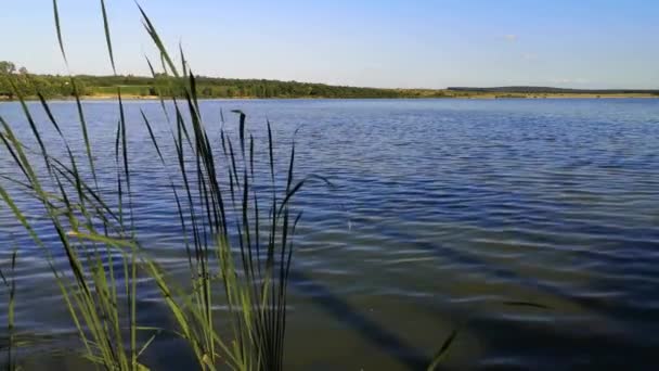 Τοπίο Μιας Βραδινής Καλοκαιρινής Λίμνης Πριν Ηλιοβασίλεμα — Αρχείο Βίντεο