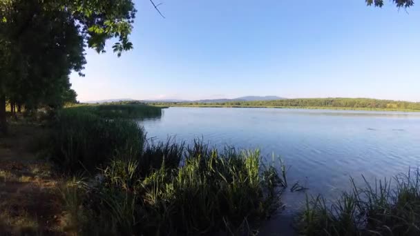 Časová Prodleva Krajiny Večerního Letního Jezera Před Západem Slunce — Stock video