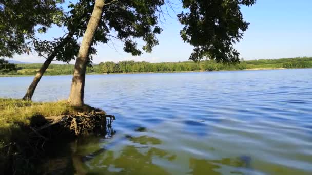 Landscape Evening Summer Lake Sunset — Stock Video