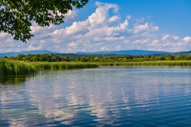Gün batımından önce yaz gölü manzarası