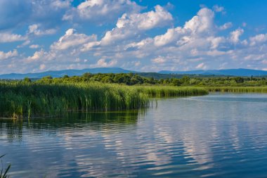 Gün batımından önce yaz gölü manzarası