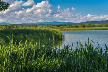 Gün batımından önce yaz gölü manzarası