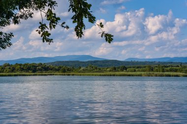 Gün batımından önce yaz gölü manzarası