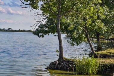 Gün batımından önce yaz gölü manzarası