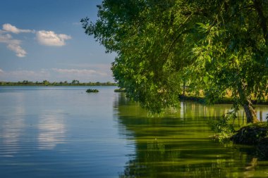 Gün batımından önce yaz gölü manzarası