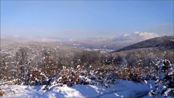 Waktu Selang Musim Dingin Lansekap Gunung Hutan Cerah Hari — Stok Video