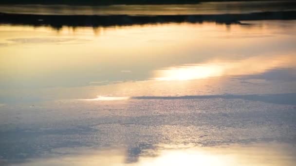 夕暮れ時の夏の湖の時間経過風景 — ストック動画