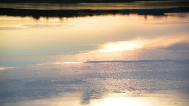Wieczorny Krajobraz Letniego Jeziora Zachodzie Słońca — Wideo stockowe