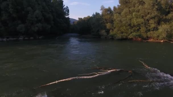 Filmagem Aérea Rio Montanha Verão Campo Montanhoso — Vídeo de Stock