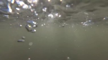 Yazın bir dağ nehrinin sualtı fotoğrafçılığı