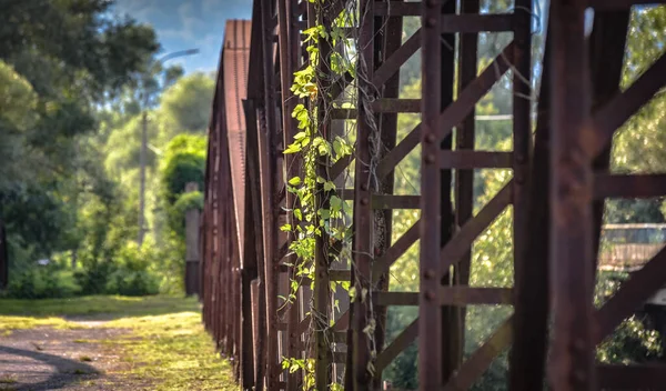 Landschaft Einer Verlassenen Eisenbrücke Über Einen Gebirgsfluss — Stockfoto