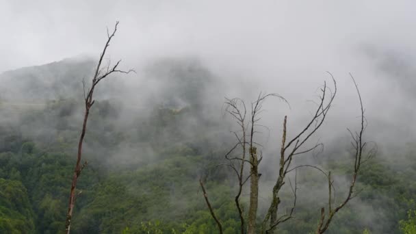 夏日黄昏 山中一片雾蒙蒙的风景 时间消逝了 — 图库视频影像