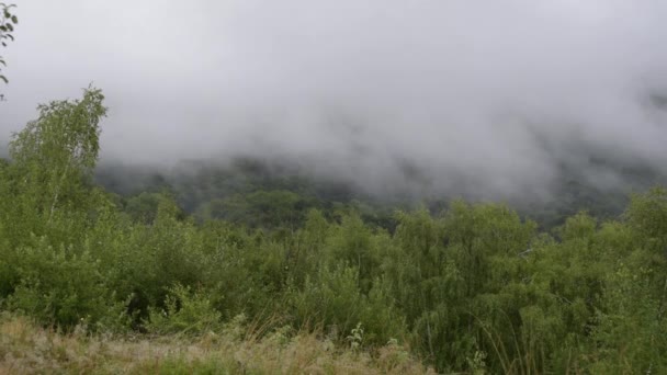 Time Lapse Foggy Landscape Summer Night Στα Βουνά — Αρχείο Βίντεο