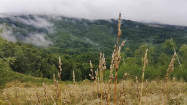 夏日黄昏 山中一片雾蒙蒙的风景中的时间间隔 — 图库视频影像