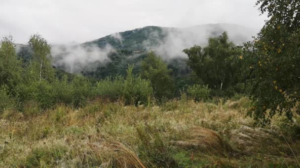 夏日黄昏 山中一片雾蒙蒙的风景中的时间间隔 — 图库视频影像